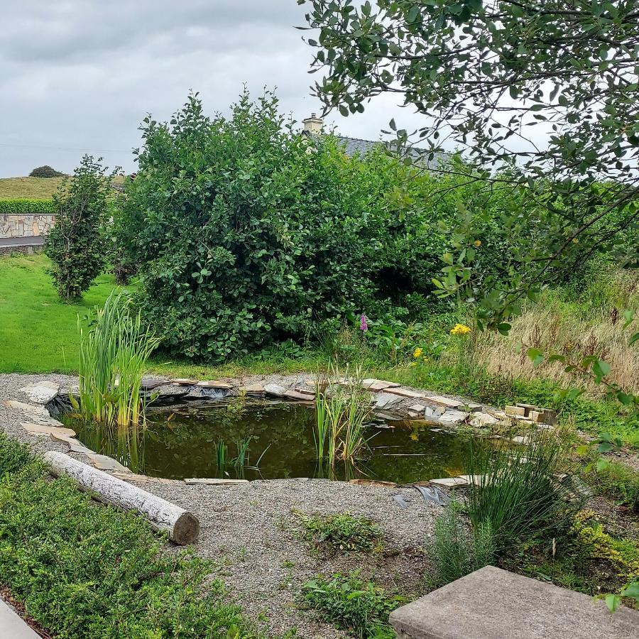 Bed and Breakfast Ros na gCloch Westport Exterior foto